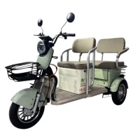 Электротрицикл GreenCamel Пони Z8 V2 (72V20Ah 1000W) дифференциал