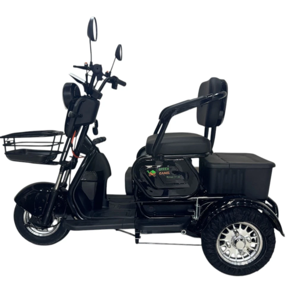 Электротрицикл GreenCamel Фродо X7 V2 (48V20Ah 500W R8) дифференциал 1
